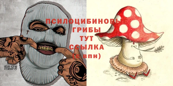 МДПВ Вязники