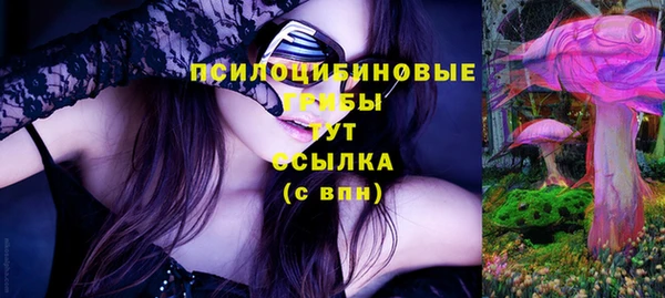 соль ск Горняк