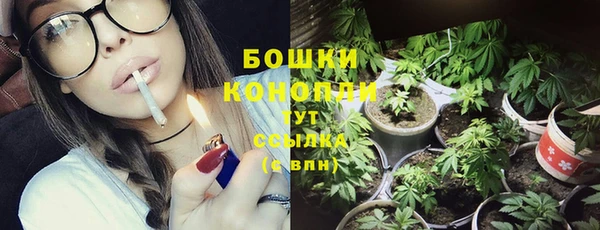 соль ск Горняк