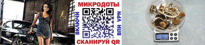 Галлюциногенные грибы Magic Shrooms  где найти наркотики  Ува 